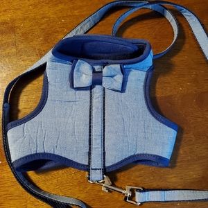 Dog harness and leash